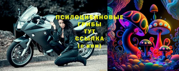 PSILOCYBIN Балахна