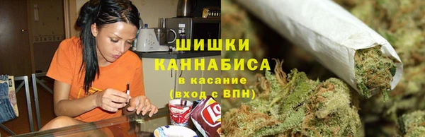 ПСИЛОЦИБИНОВЫЕ ГРИБЫ Аркадак
